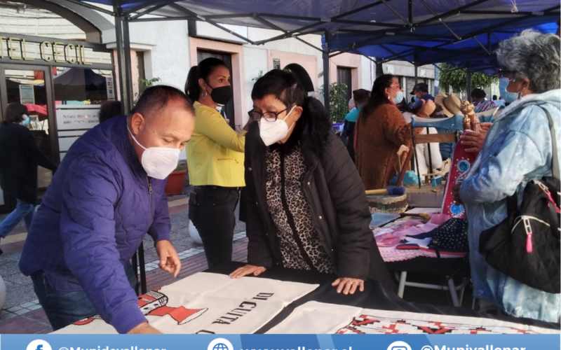 Municipio vallenarino junto a comunidad cultural local ofrecieron al público una excelente muestra patrimonial