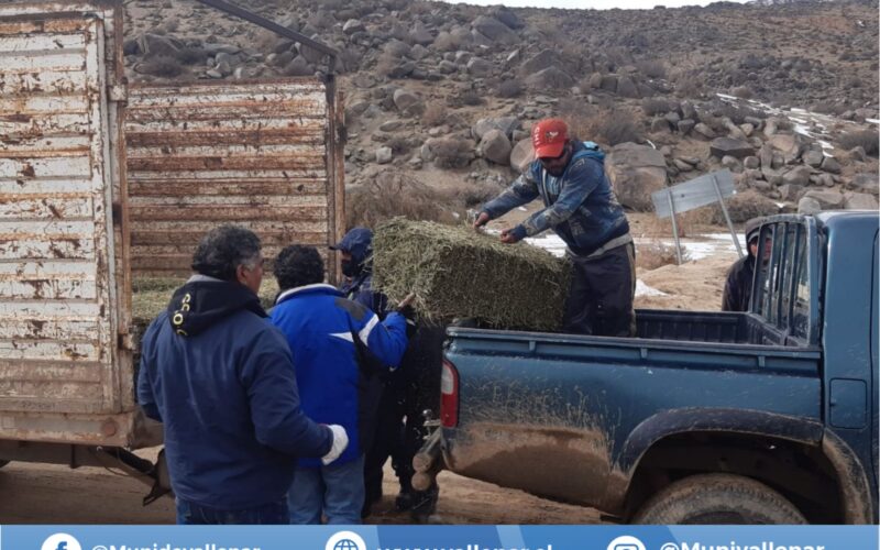Municipio de Vallenar continúa con la entrega de ayuda y aplicación de ficha FIBE a familias del sector rural
