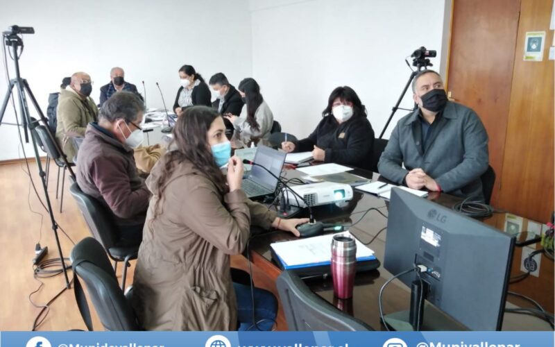 Municipalidad de Vallenar trabaja en perfeccionar ordenanza ambiental para proteger al Desierto Florido