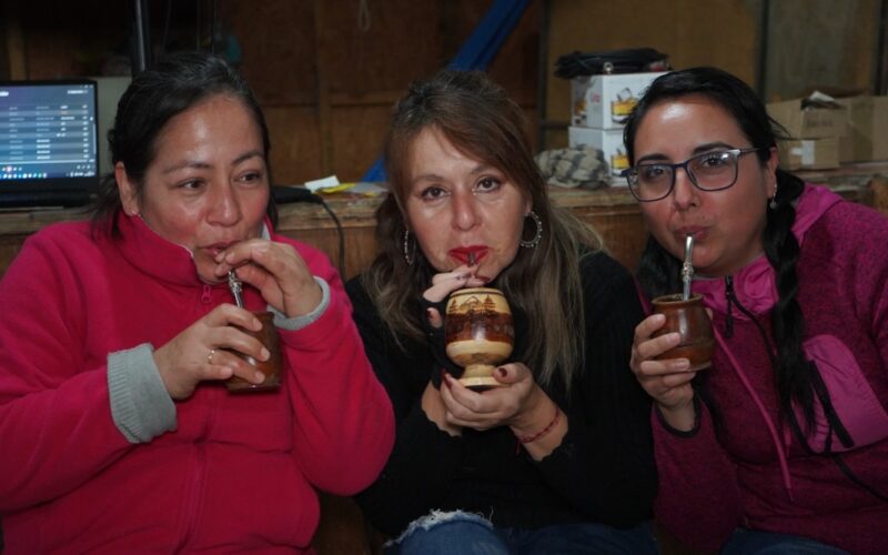 MATEADA EN 4 PALOMAS
