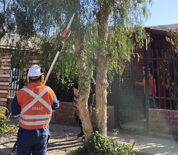 MUNICIPIO EN TERRENO: SEGURIDAD Y PREVENCIÓN EN SECTORES RURALES