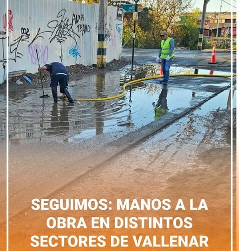 SEGUIMOS: MANOS A LA OBRA EN DISTINTOS SECTORES DE VALLENAR