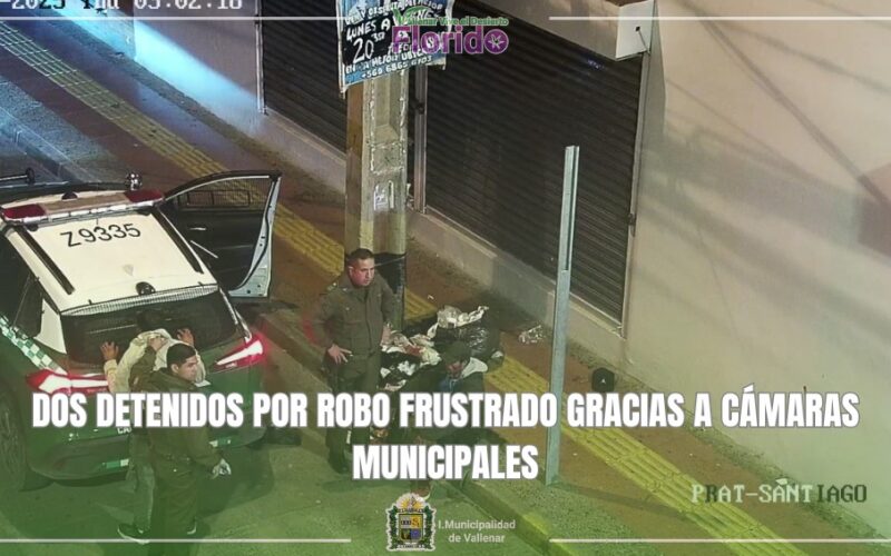 DOS DETENIDOS POR ROBO FRUSTRADO GRACIAS A CÁMARAS MUNICIPALES