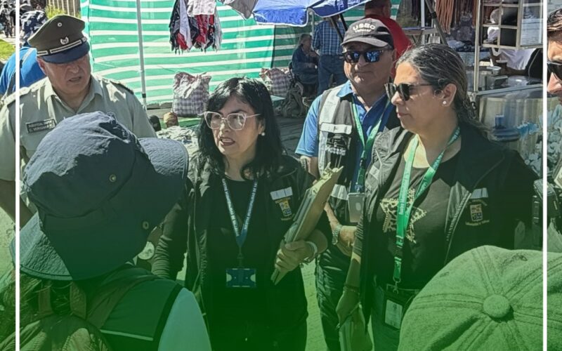INTENSOS OPERATIVOS DE FISCALIZACIÓN EN FERIAS LIBRES DE VALLENAR