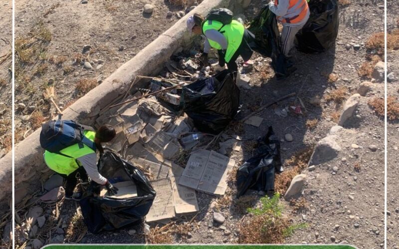 CONTINÚAN LOS TRABAJOS DE MANTENCIÓN EN EL PASEO RIBEREÑO