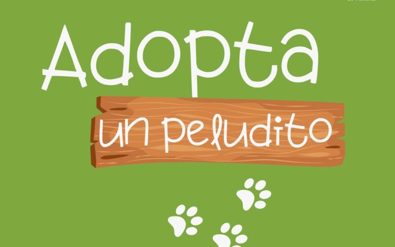 ADOPTA UN PELUDITO